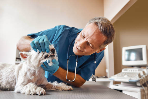 Best Emergency Tooth Extraction in Greens Farms, CT